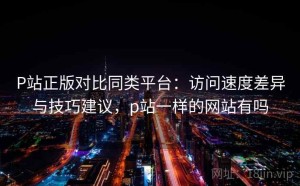 P站正版对比同类平台：访问速度差异与技巧建议，p站一样的网站有吗