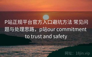P站正规平台官方入口避坑方法 常见问题与处理思路，p站our commitment to trust and safety