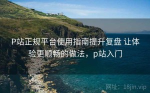 P站正规平台使用指南提升复盘 让体验更顺畅的做法，p站入门