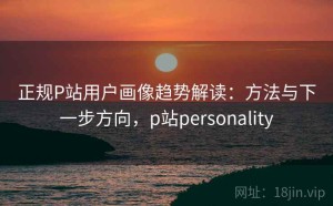 正规P站用户画像趋势解读：方法与下一步方向，p站personality