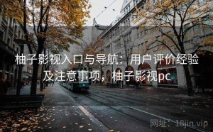 柚子影视入口与导航：用户评价经验及注意事项，柚子影视pc