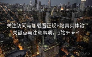 关注访问与加载看正规P站真实体验 关键点与注意事项，p站チャイ