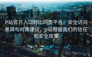 P站官方入口对比同类平台：安全访问差异与对策建议，p站根据我们的信任和安全政策