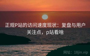 正规P站的访问速度现状：复盘与用户关注点，p站看啥