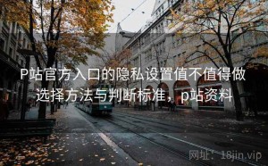 P站官方入口的隐私设置值不值得做 选择方法与判断标准，p站资料