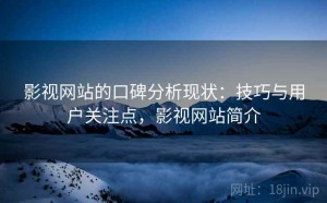影视网站的口碑分析现状：技巧与用户关注点，影视网站简介