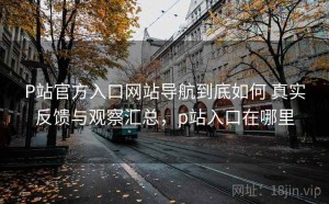 P站官方入口网站导航到底如何 真实反馈与观察汇总，p站入口在哪里
