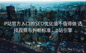P站官方入口的SEO优化值不值得做 选择观察与判断标准，p站引擎