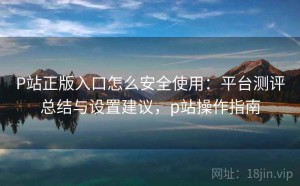 P站正版入口怎么安全使用：平台测评总结与设置建议，p站操作指南