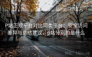 P站正规平台对比同类平台：安全访问差异与总结建议，p站分别的是什么