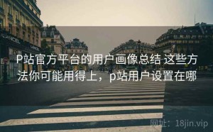 P站官方平台的用户画像总结 这些方法你可能用得上，p站用户设置在哪
