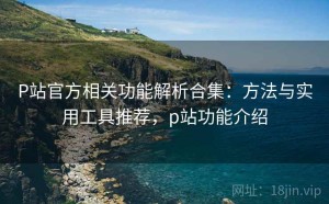 P站官方相关功能解析合集：方法与实用工具推荐，p站功能介绍