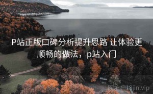 P站正版口碑分析提升思路 让体验更顺畅的做法，p站入门