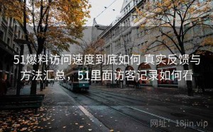 51爆料访问速度到底如何 真实反馈与方法汇总，51里面访客记录如何看