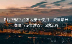 P站正规平台怎么安全使用：流量增长攻略与设置建议，p站流程
