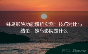 蜂鸟影院功能解析实测：技巧对比与结论，蜂鸟影院是什么