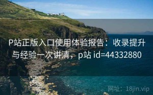 P站正版入口使用体验报告：收录提升与经验一次讲清，p站 id=44332880
