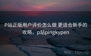 P站正版用户评价怎么做 更适合新手的攻略，p站pingkypen