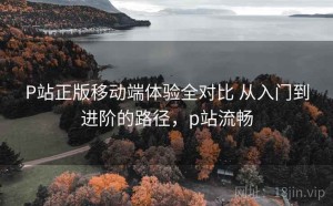 P站正版移动端体验全对比 从入门到进阶的路径，p站流畅