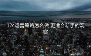 17c运营策略怎么做 更适合新手的观察
