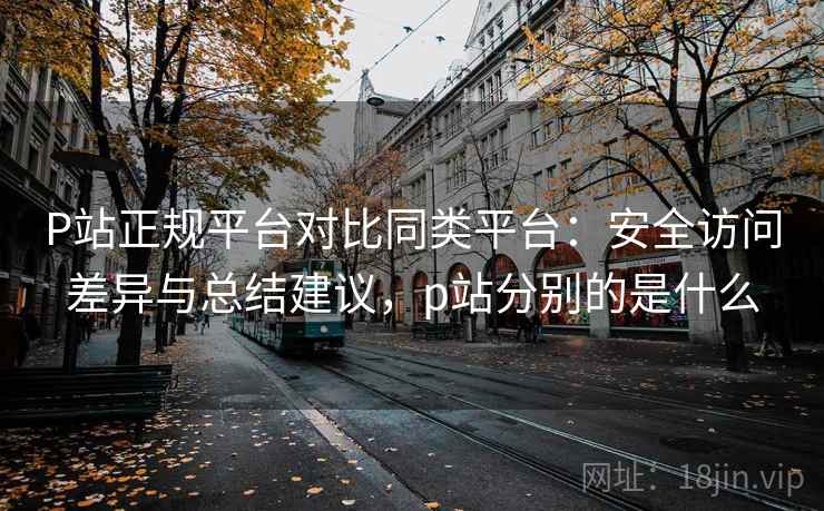 P站正规平台对比同类平台：安全访问差异与总结建议，p站分别的是什么