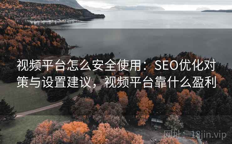 视频平台怎么安全使用：SEO优化对策与设置建议，视频平台靠什么盈利