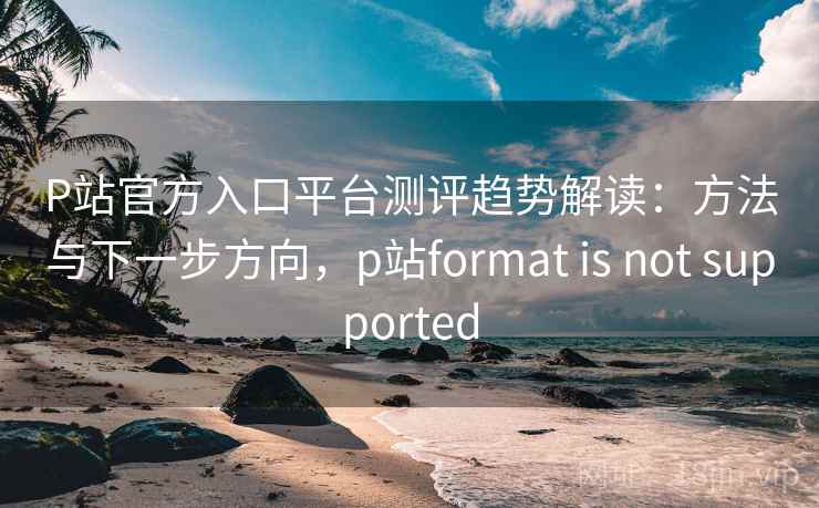 P站官方入口平台测评趋势解读：方法与下一步方向，p站format is not supported