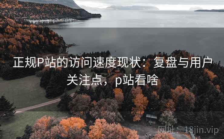 正规P站的访问速度现状：复盘与用户关注点，p站看啥