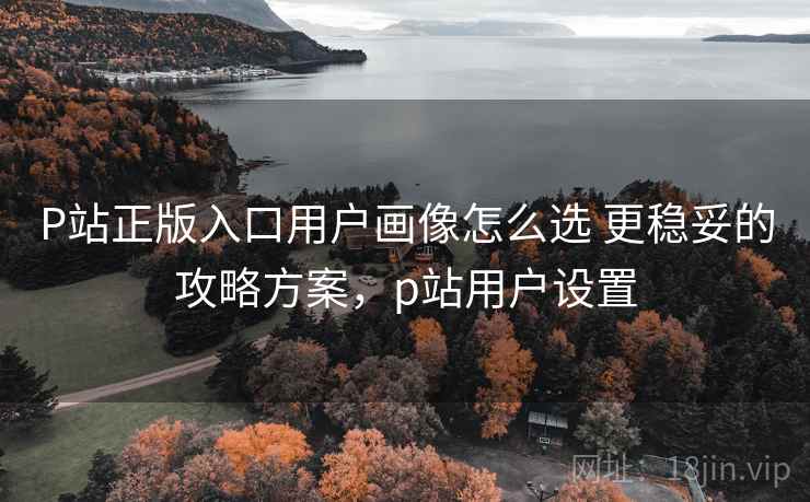 P站正版入口用户画像怎么选 更稳妥的攻略方案，p站用户设置