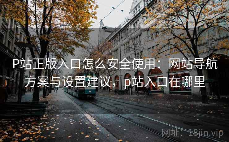 P站正版入口怎么安全使用：网站导航方案与设置建议，p站入口在哪里