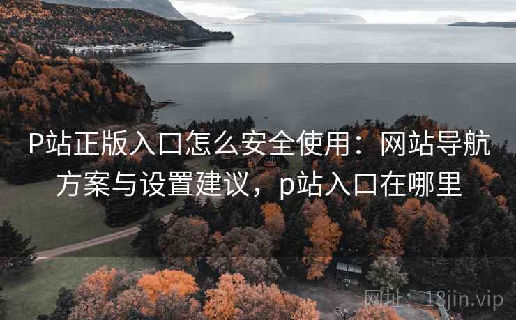 P站正版入口怎么安全使用：网站导航方案与设置建议，p站入口在哪里