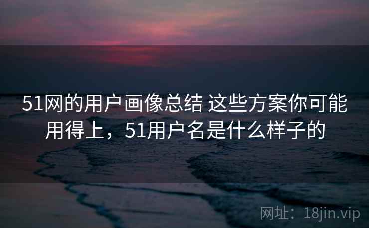 51网的用户画像总结 这些方案你可能用得上,51用户名是什么样子的 51网的用户画像总结 这些方案你可能用得上,51用户名是什么样子的