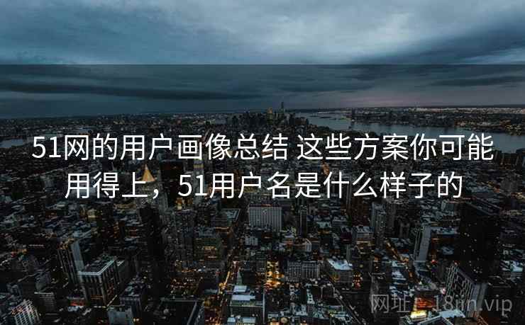 51网的用户画像总结 这些方案你可能用得上,51用户名是什么样子的 51网的用户画像总结 这些方案你可能用得上,51用户名是什么样子的