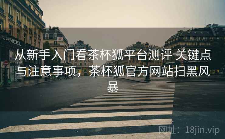 从新手入门看茶杯狐平台测评 关键点与注意事项，茶杯狐官方网站扫黑风暴