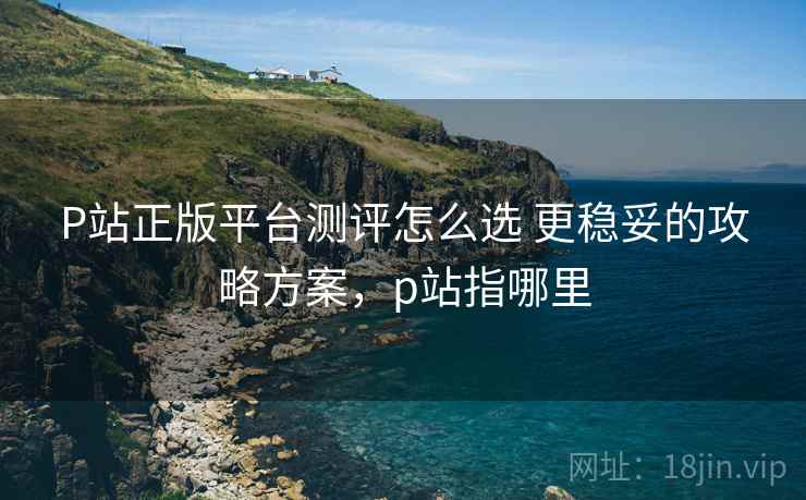 P站正版平台测评怎么选 更稳妥的攻略方案,p站指哪里 P站正版平台测评怎么选 更稳妥的攻略方案,p站指哪里