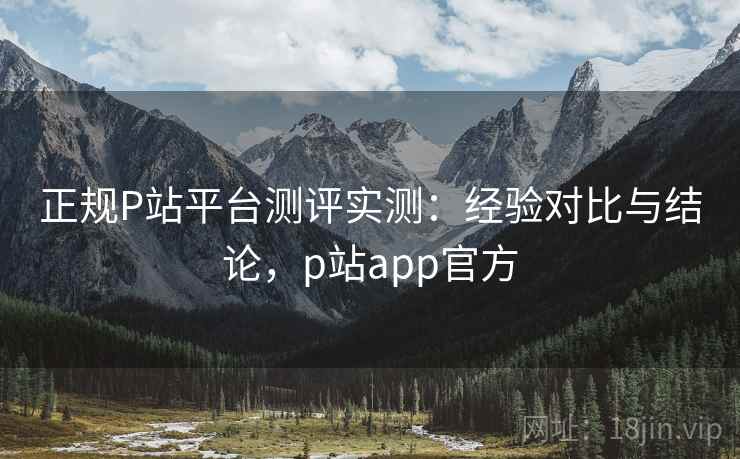 正规P站平台测评实测:经验对比与结论,p站app官方 正规P站平台测评实测:经验对比与结论,p站app官方