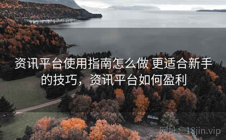 资讯平台使用指南怎么做 更适合新手的技巧，资讯平台如何盈利
